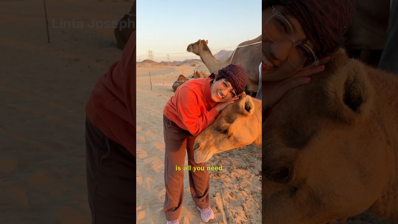 Saudi Visa | Saudi Arabia Visa Update