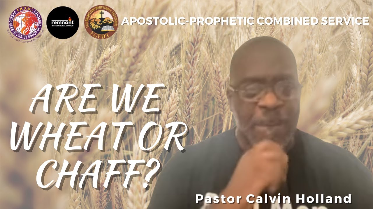 Are We Wheat or Chaff? Pastor Calvin Holland, Remnant International Church