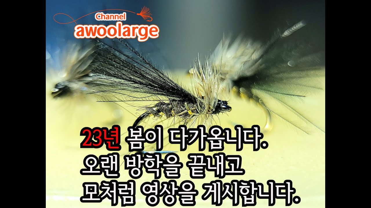 23년 시작을 알리는 타잉 