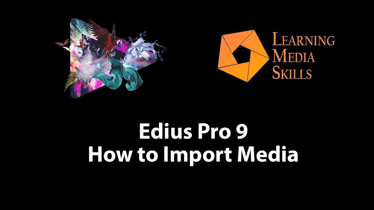 Edius 9: How to Import Media