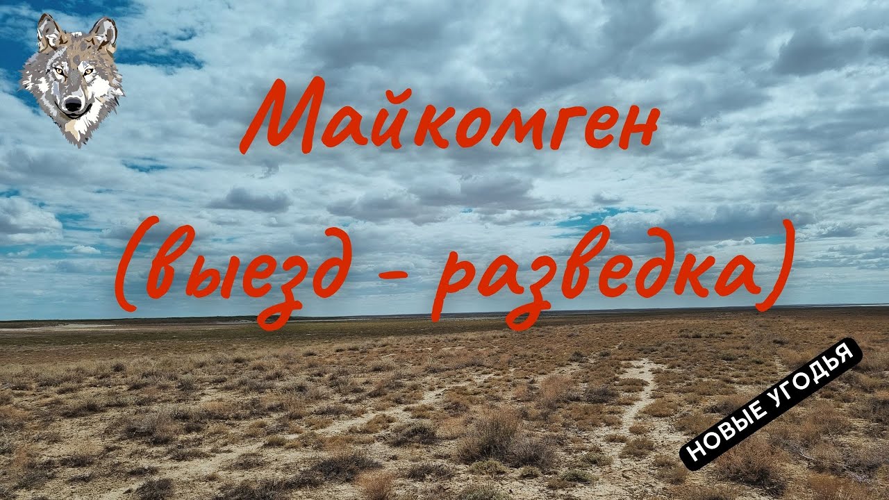 Охота на волка 