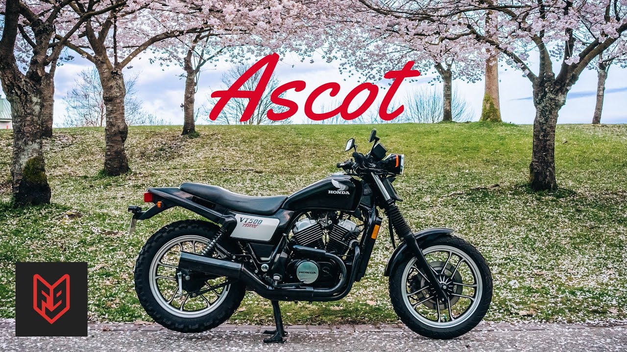 Худший мотоцикл 1980-х — обзор Honda Ascot