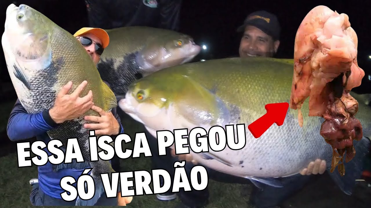 ESSA ISCA PEGOU S&Oacute; VERD&Atilde;O NO DIM - PROGRAMA FISHINGTUR NA TV 1123