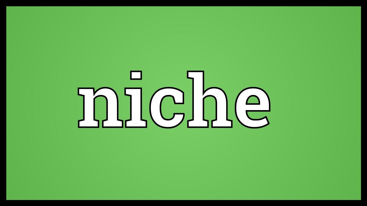 Niche Meaning