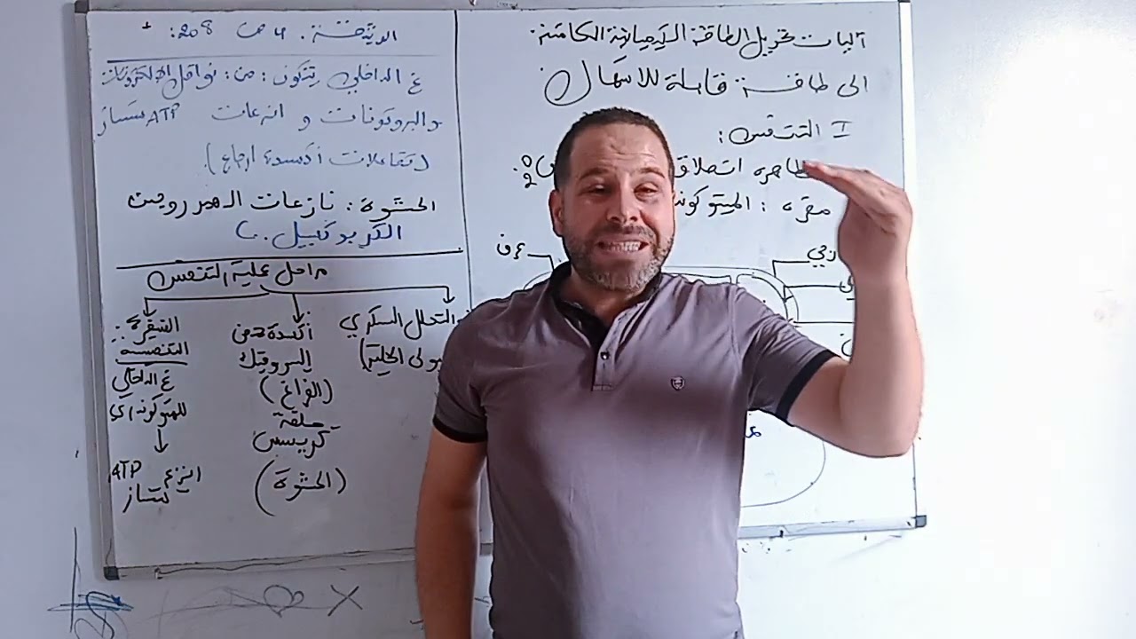 اليات تحويل الطاقة الكيميائية الكامنة الى طاقة قابلة الاستعمال (التنفس)