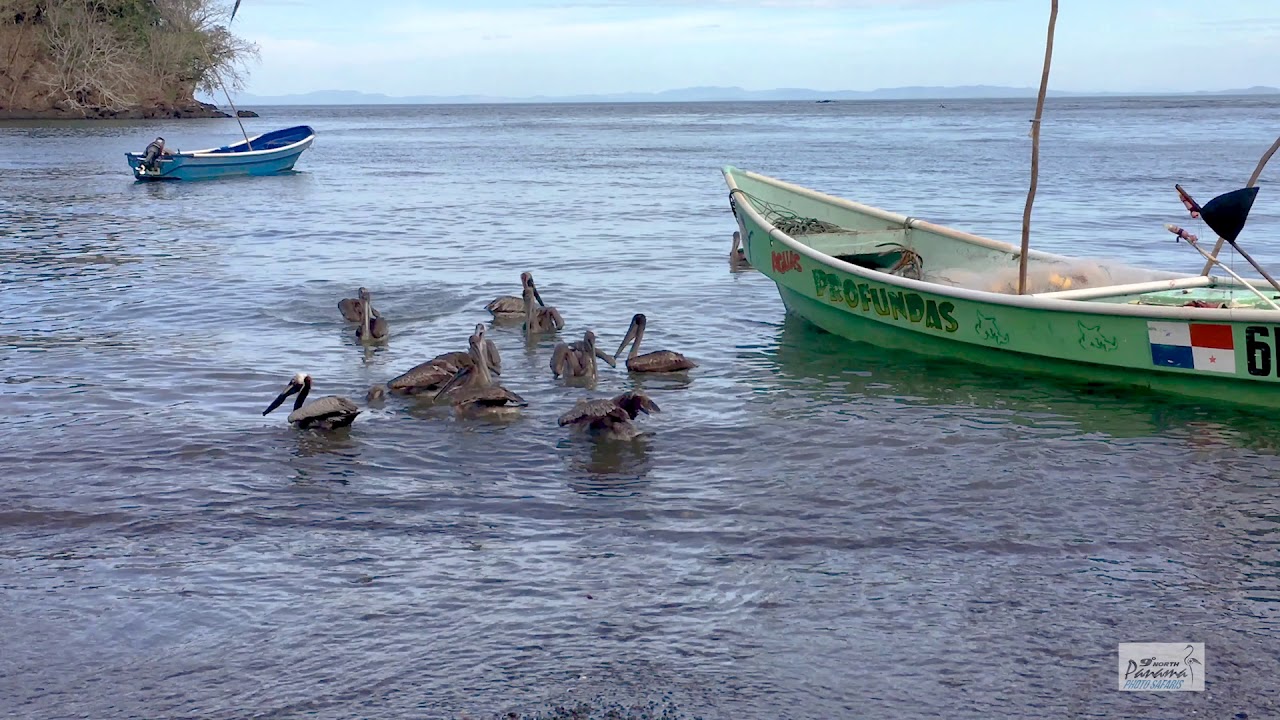 Explore | Panam&aacute; | Sunset Coast, Azuero Peninsula, Panam&aacute;