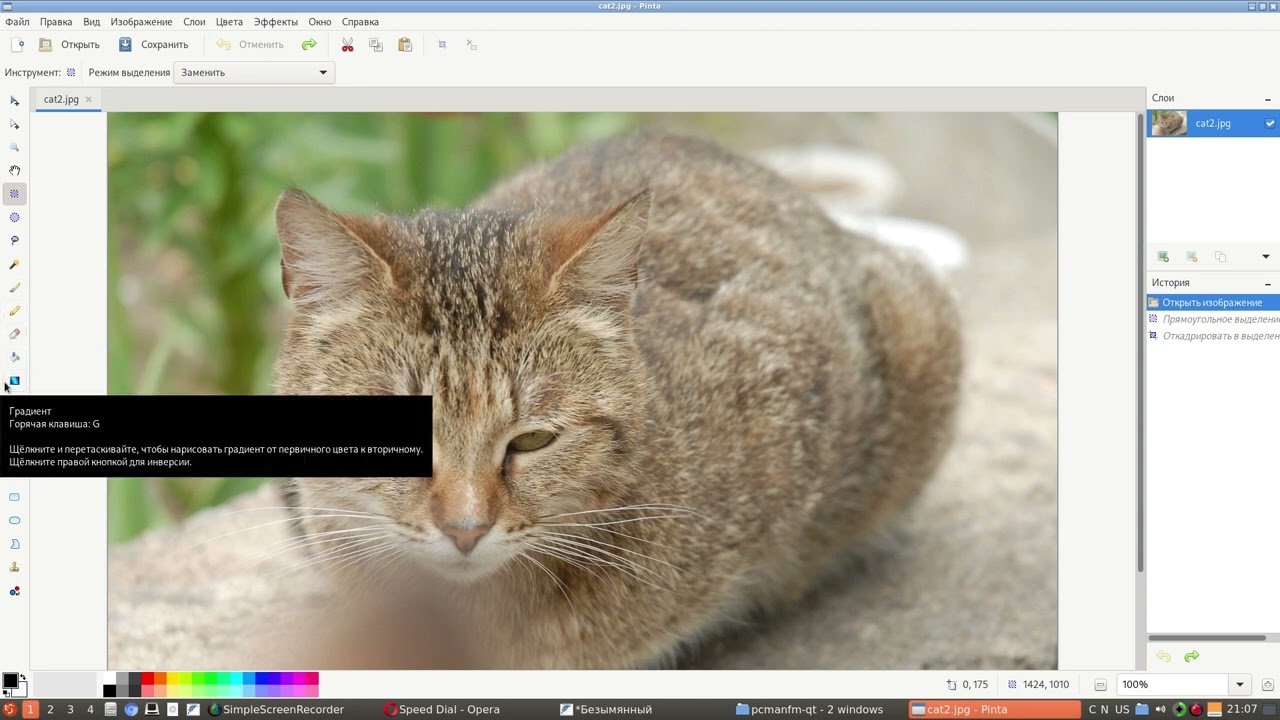 Pinta - фотошоп на минималках для linux