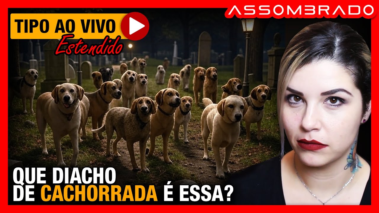 UMA MATILHA MISTERIOSA SEMPRE SEGUIA PARA O CEMITÉRIO - 