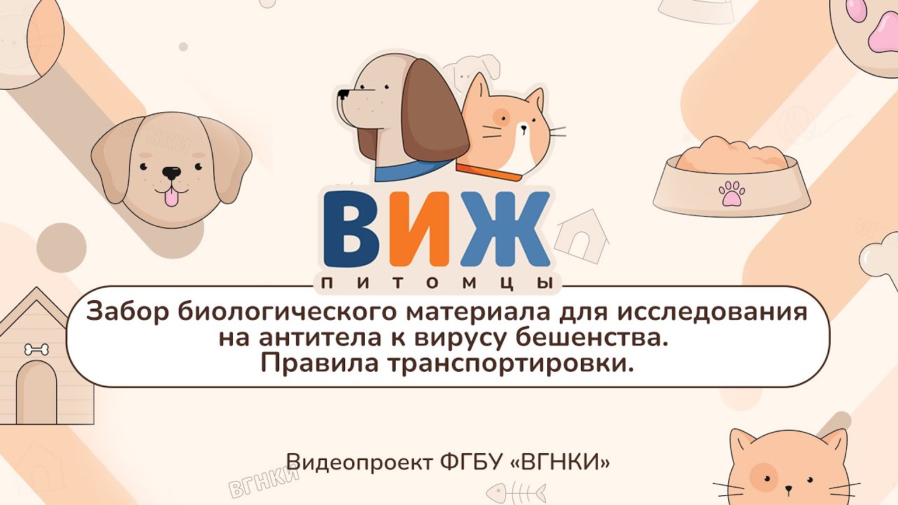 &laquo;ВИЖ Питомцы&raquo; - Забор биологического материала для исследования на антитела к вирусу бешенства