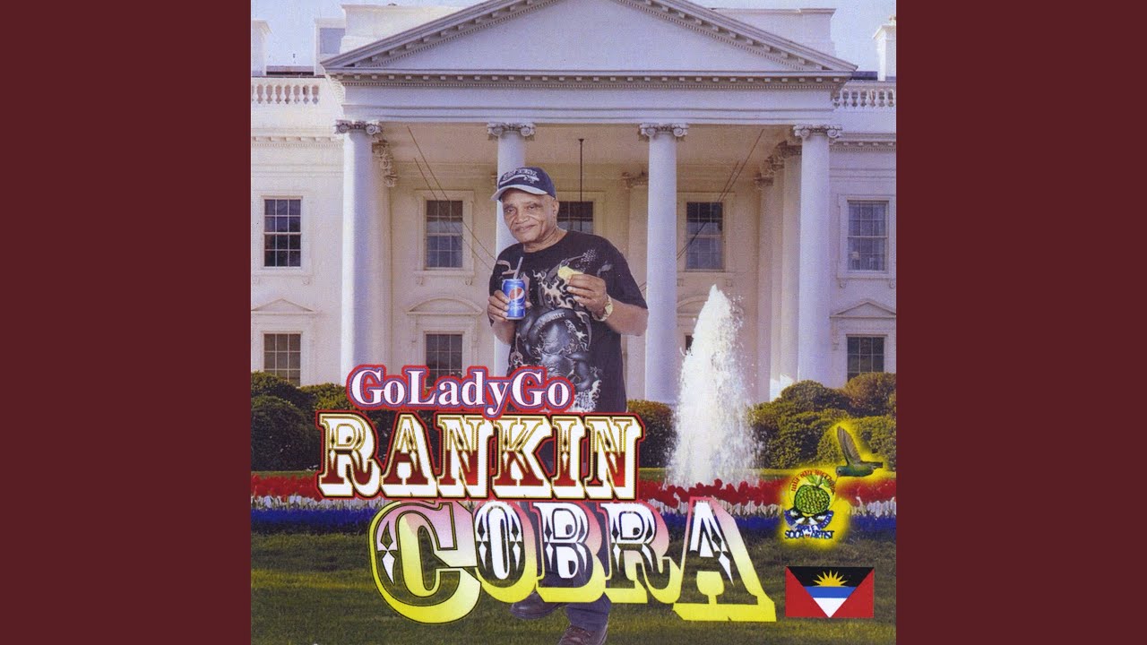 Gun Shot Don't Respect No One (Dub Remix)