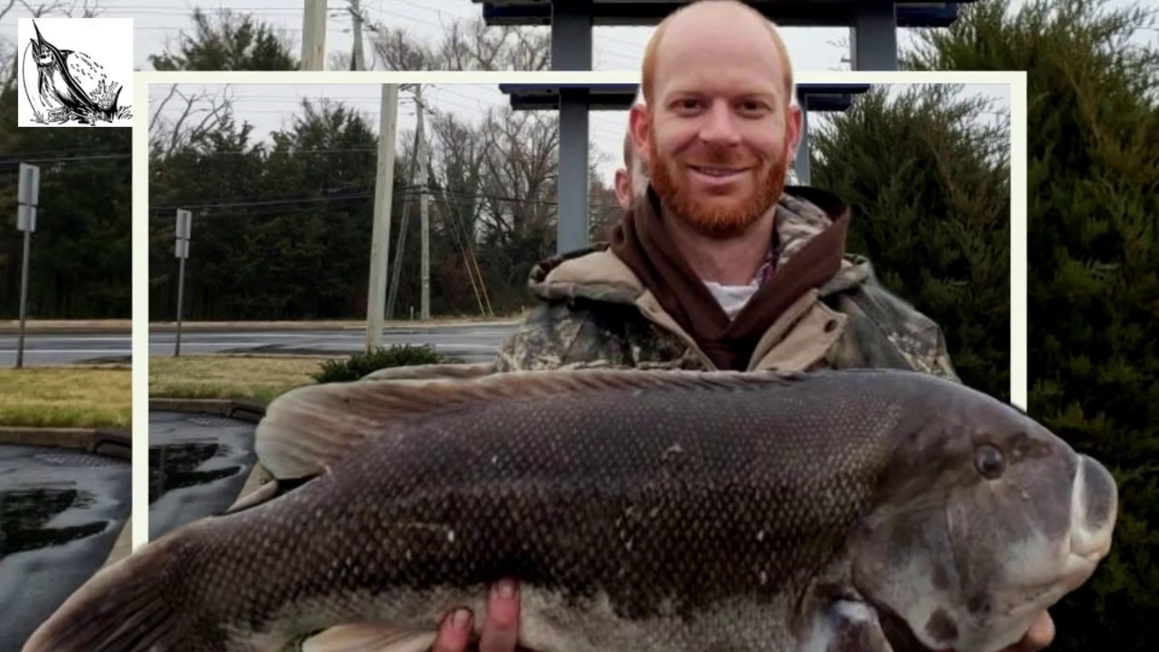 Blackfish Egg Sinker Slider Rig Presentation