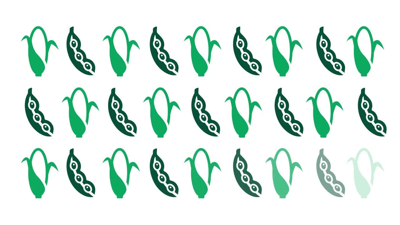How Margin Protection for Crop Insurance Works