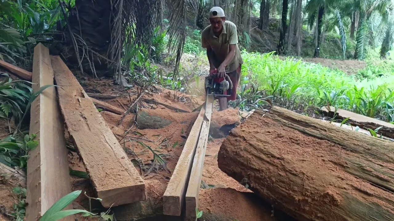 Sebelah dari kayu ulin ini mantap‼️kita gas lagi jadikan balok 3m @hariantogesek 