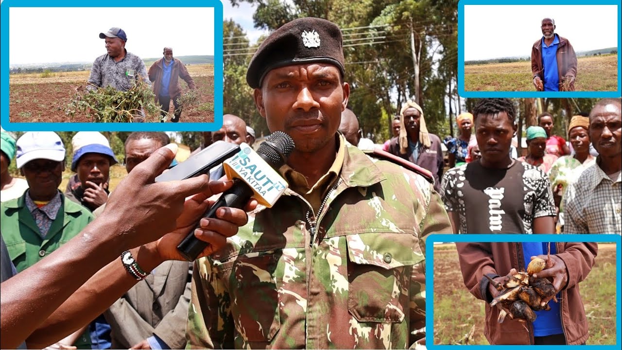 Ethnic Clashes Erupt At Migori Transmara border As Maize Torched, Potatoes Uprooted in Gwitembe