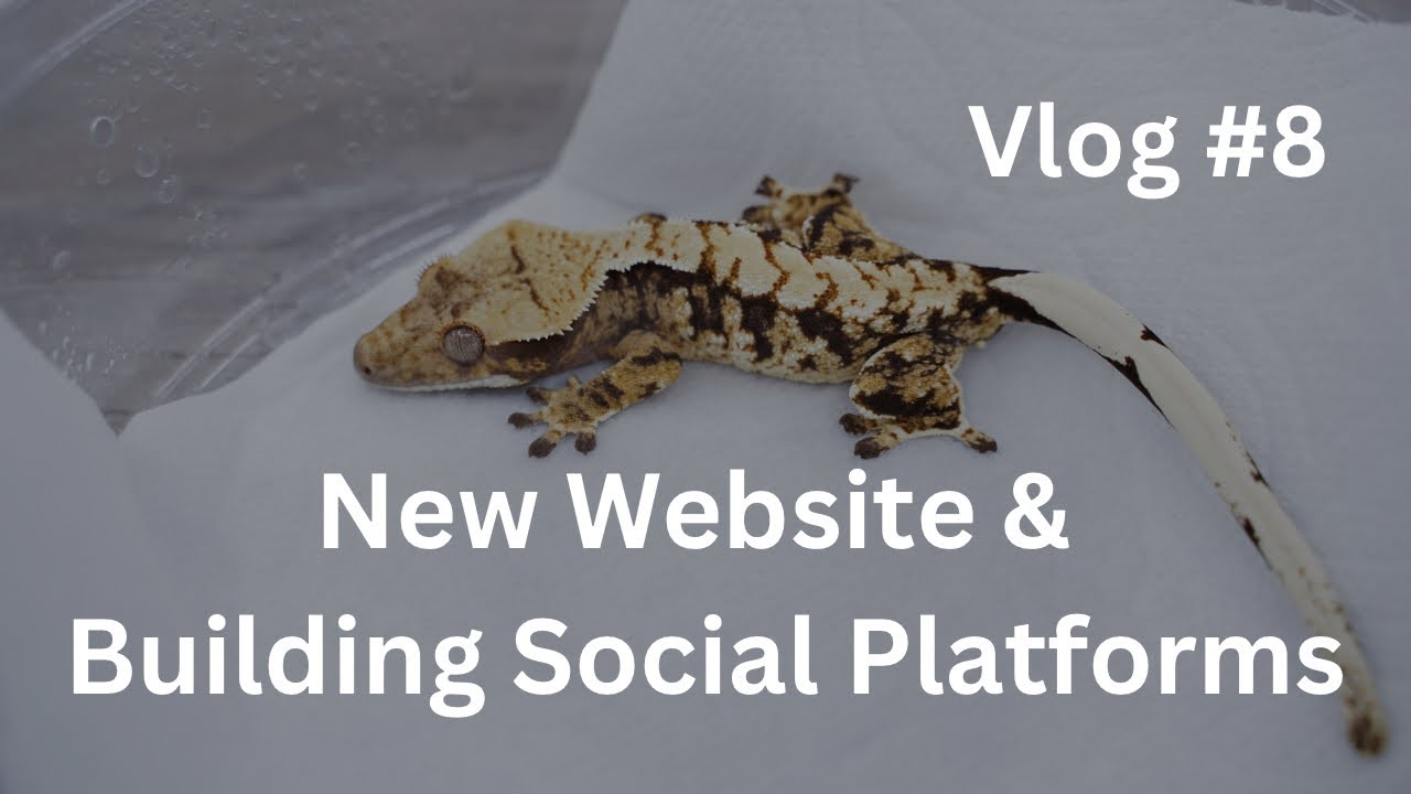 New Website & Building Social Platforms | Vlog #8 of Zero's Geckos