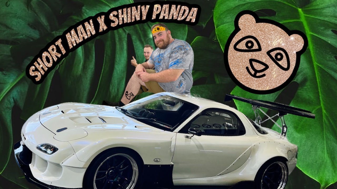 Glittery Pandas in the Wild