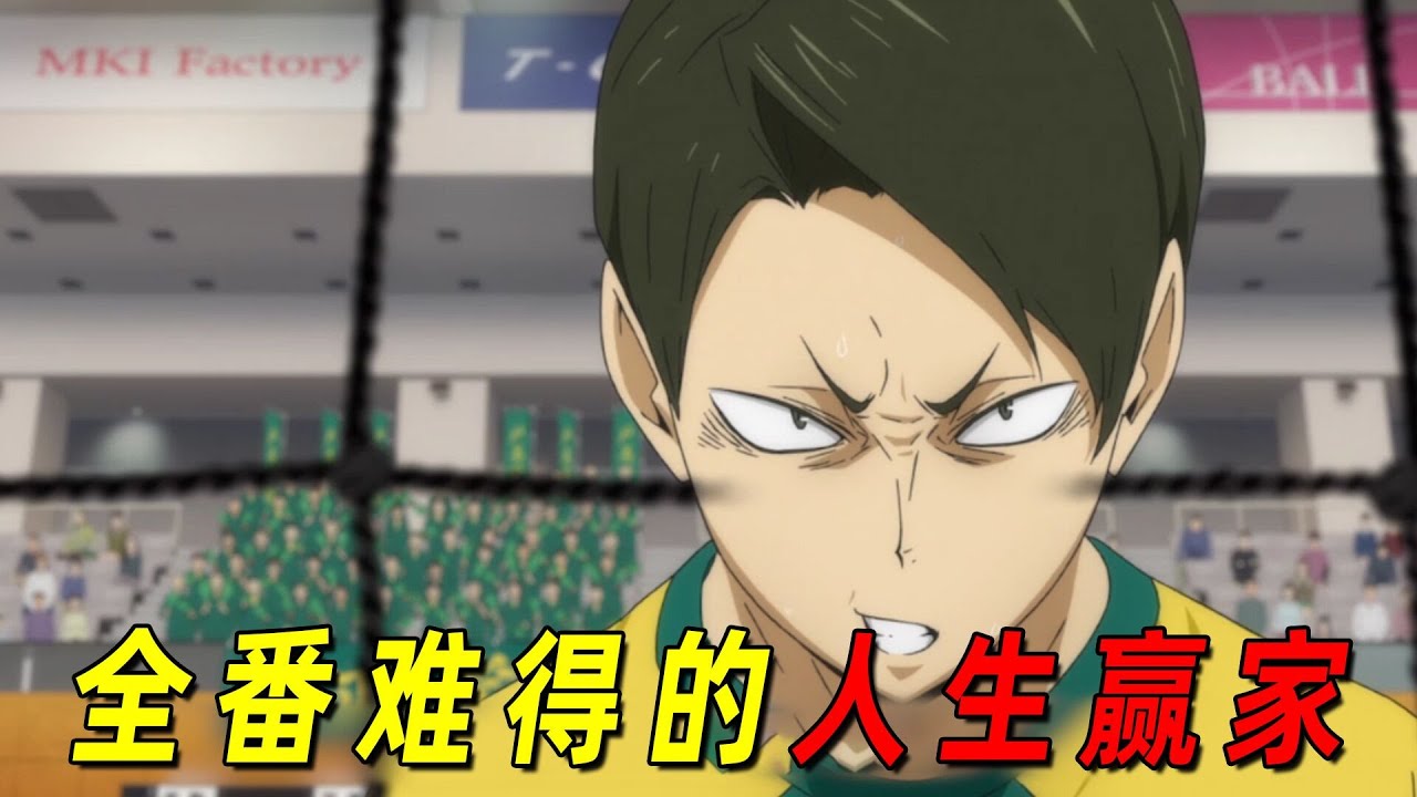 【排球少年人物志】户美的“毒蛇”队长大将优！全番难得一见的人生赢家，输了比赛、得了爱情！
