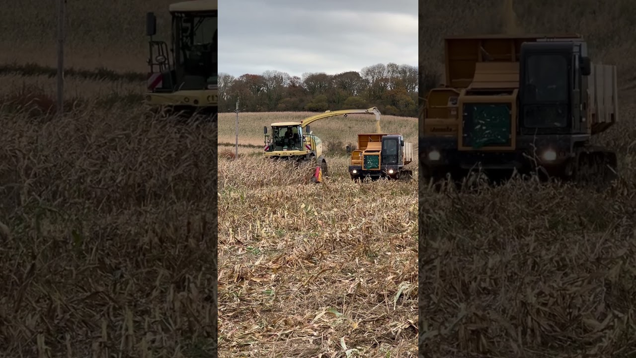 Maize Silage 2023 wet #krone #fendt #farming #tractor