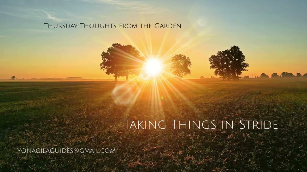 Taking Things In Stride - Thursday Thoughts from the Garden