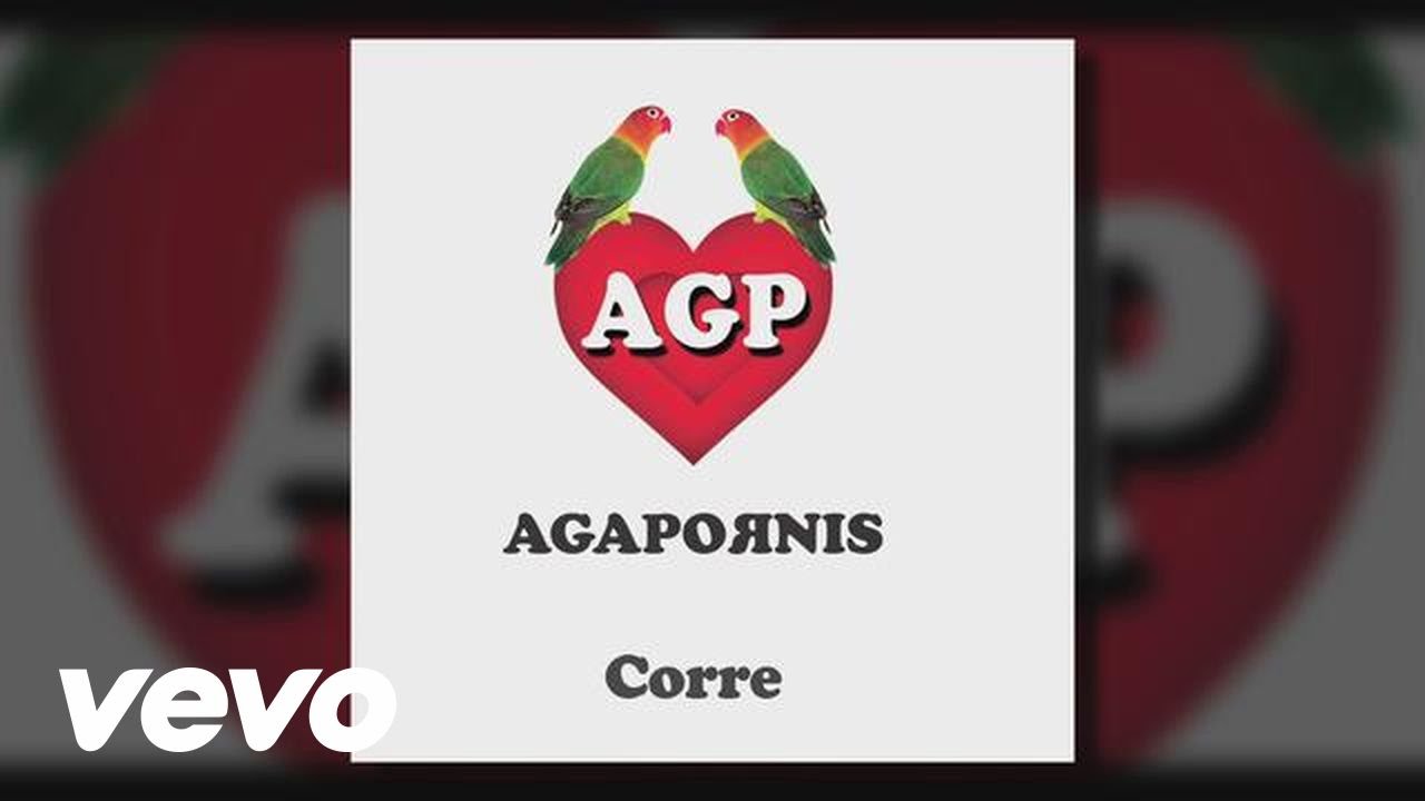 Agapornis - Corre (Pseudo Video)