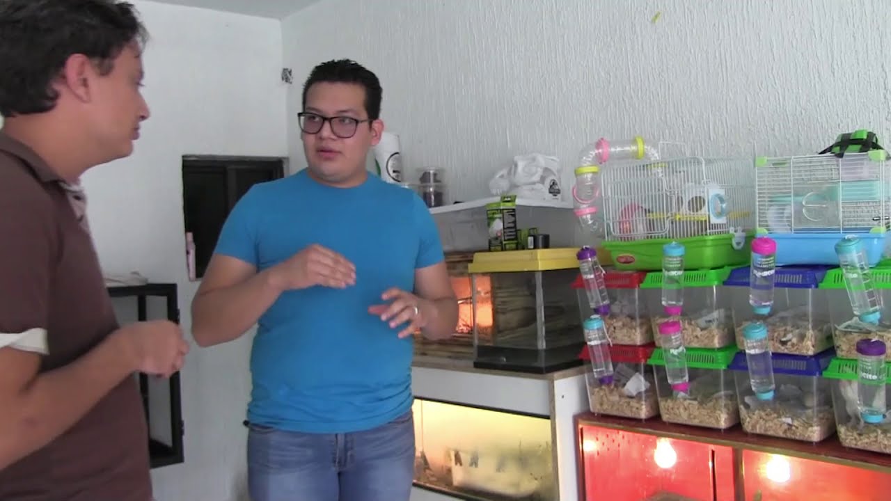 Explorando un criadero de ratones (Me mordió una rata)