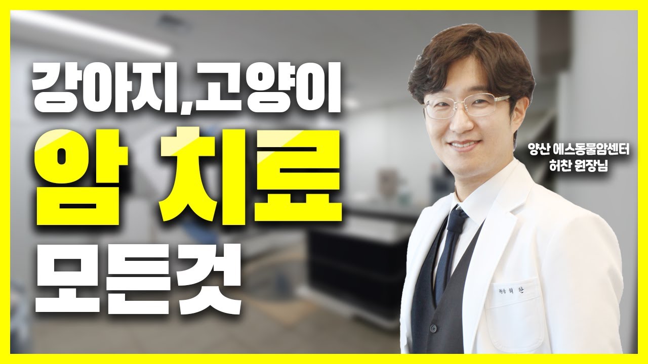 강아지, 고양이 암 치료의 모든것 | 벳터뷰 EP.03-1