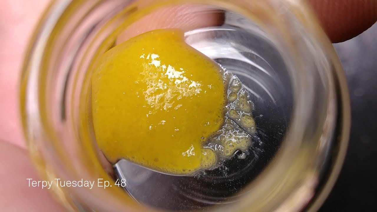 Moxie Goji OG Terp Sauce: Terpy Tuesday Ep. 48