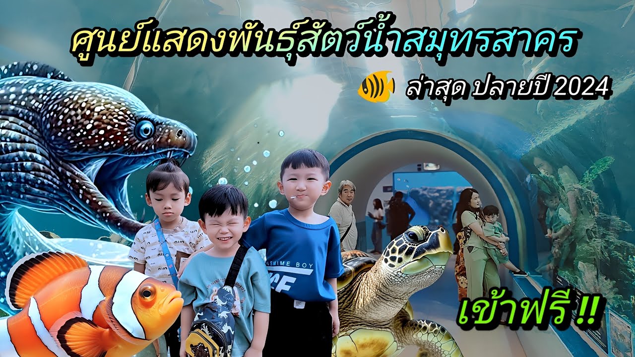 ล่าสุด !! ศูนย์แสดงพันธุ์สัตว์น้ำสมุทรสาคร อควาเรียมสมุทรสาคร เข้าฟรี มีเต่าทะเล | การัณย์