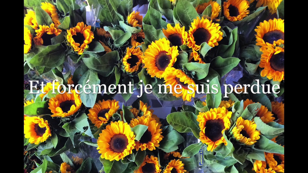 L'après toi -[Texte audio n°47]