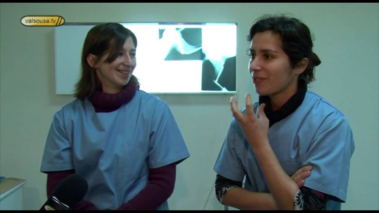 Clínica Veterinária da Mata Real é um autêntico hospital - Paços de Ferreira 2010