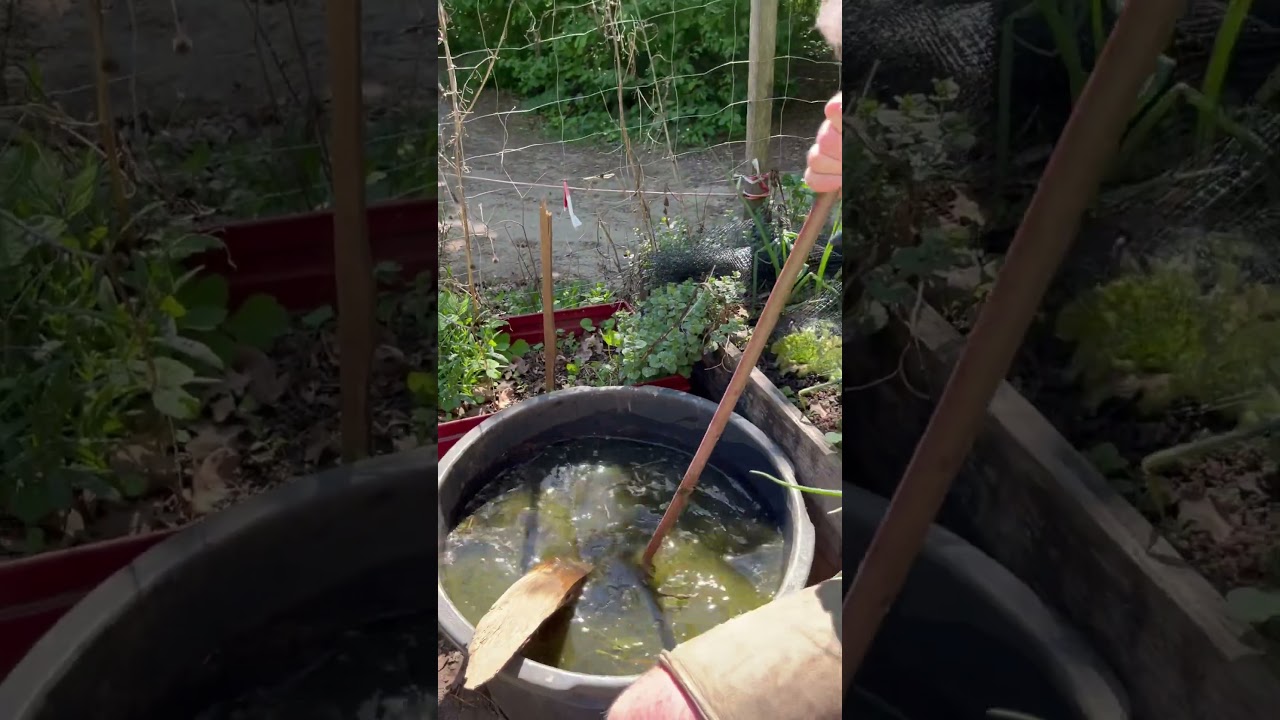 #garten #natur #gartentipps #d&uuml;nger #pflanzen #kindergarten #bne #umwelt #fr&uuml;hling #fj #brennnessel
