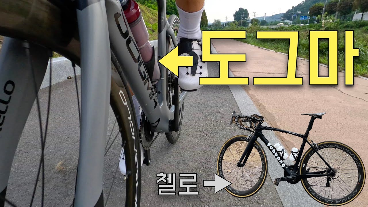 도그마를 타는 이유! 푹푹찌는 여름날 자전거퇴근하면서 털어봤습니다!