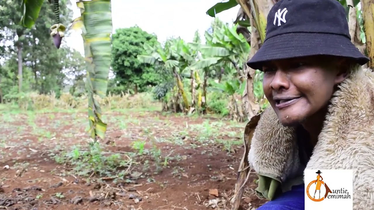 MATHU GOES TO THE TOILET WITH THABAI #KenyanMothers
