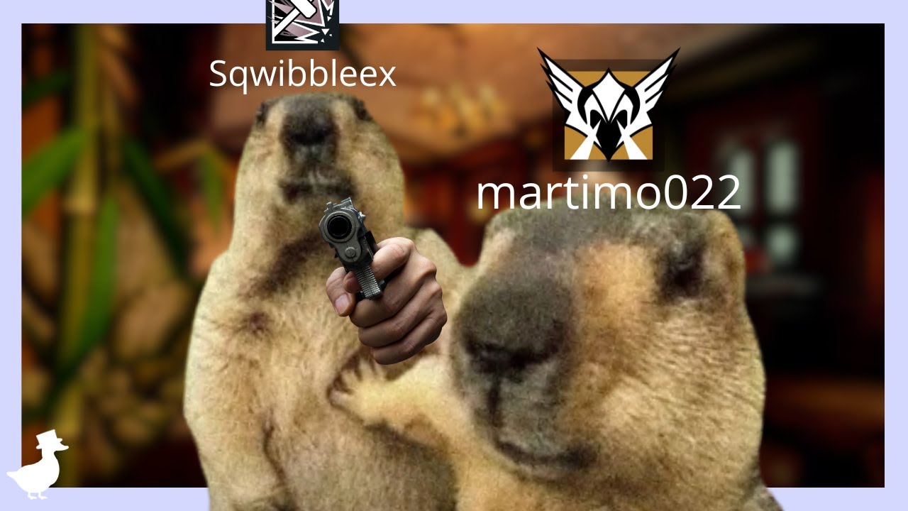 I Can't Explain These Siege Clips