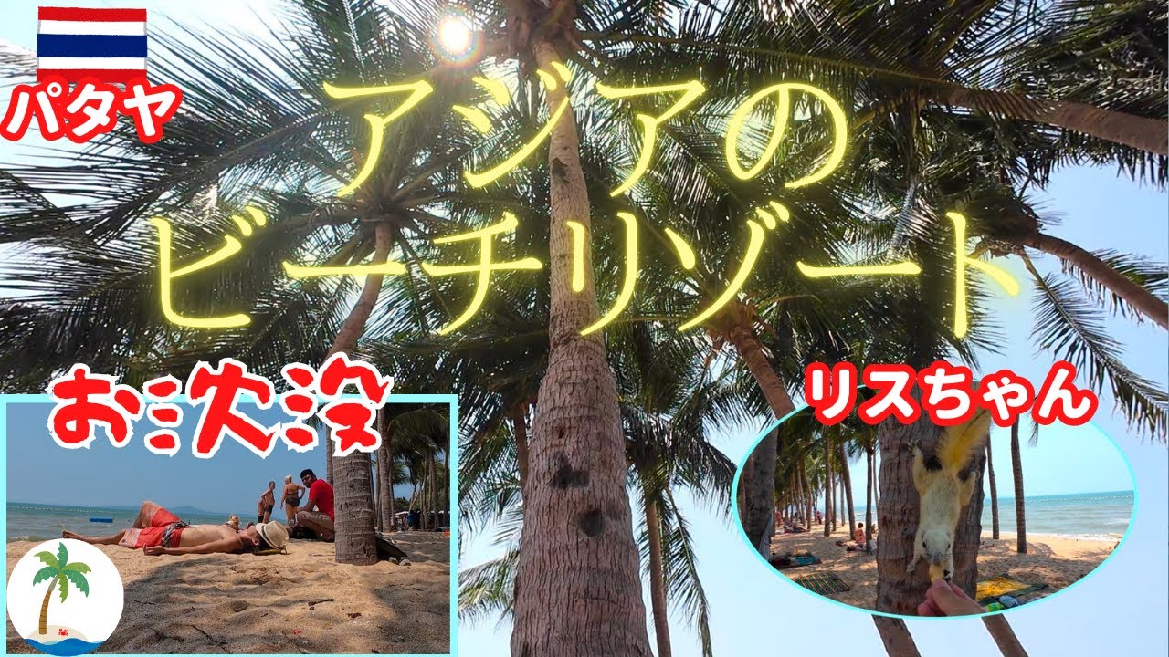 【アジアのビーチリゾート沈没】パタヤでリスと戯れて綺麗な海を満喫するひとり旅