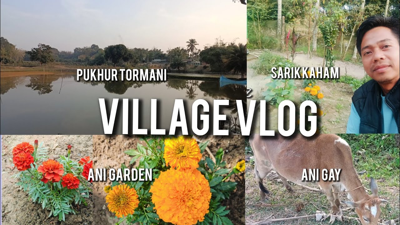 Sarik kaham jotono || @naren jamatia village style Vlog|| Tripura