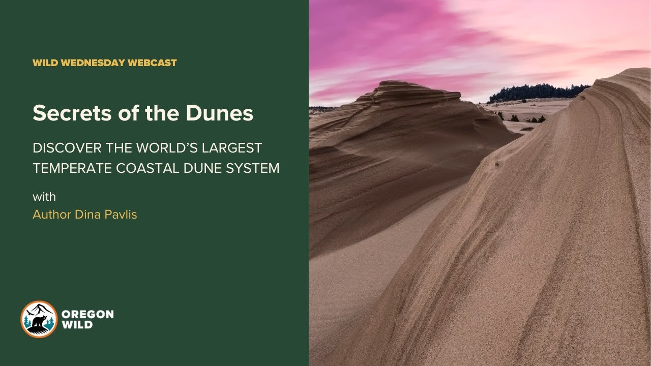 Webcast: Secrets of the Dunes