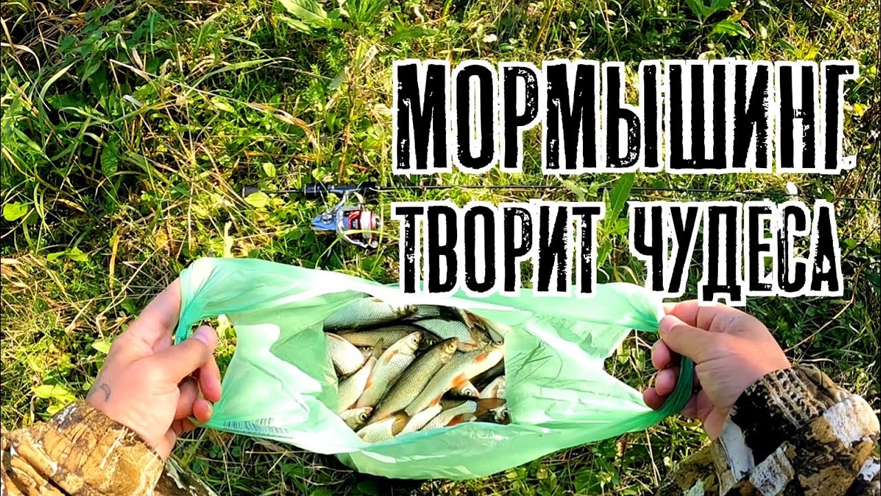 Убойный МОРМЫШИНГ. Такой КЛЁВ крупного ельца - редкость даже весной. Наноджиг Ультралайт 