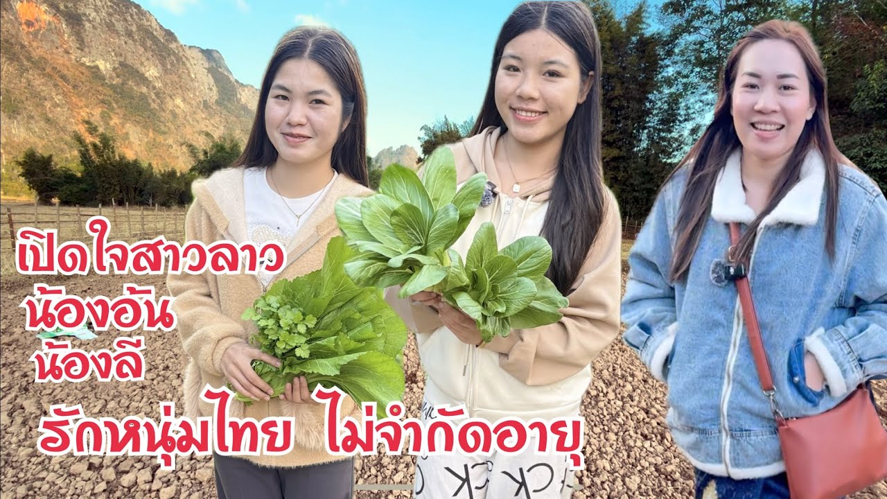 #สาวลาว เปิดใจ น้องลี น้องอ้น อยากได้แฟนหนุ่มไทย ไม่จำกัดอายุ วิ่งไล่วัวเข้าสวนผัก เก็บผักทำอาหาร