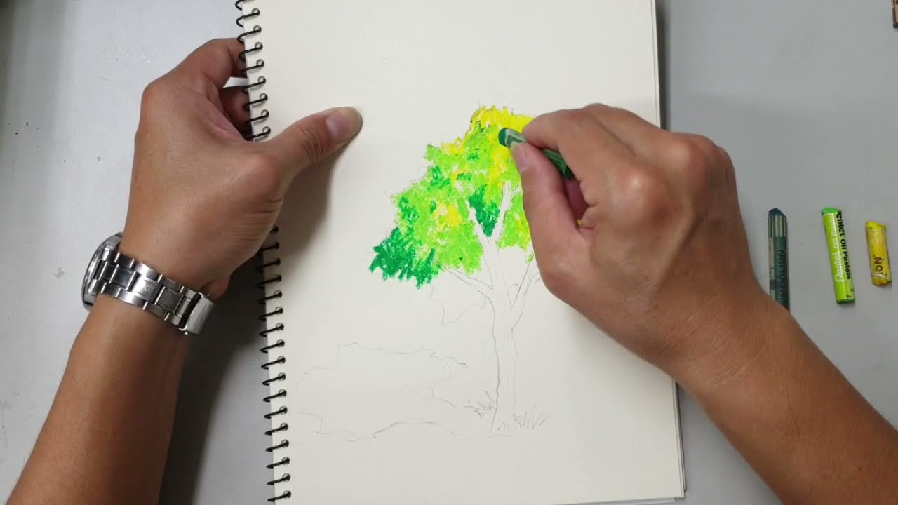粉蠟筆 畫樹
