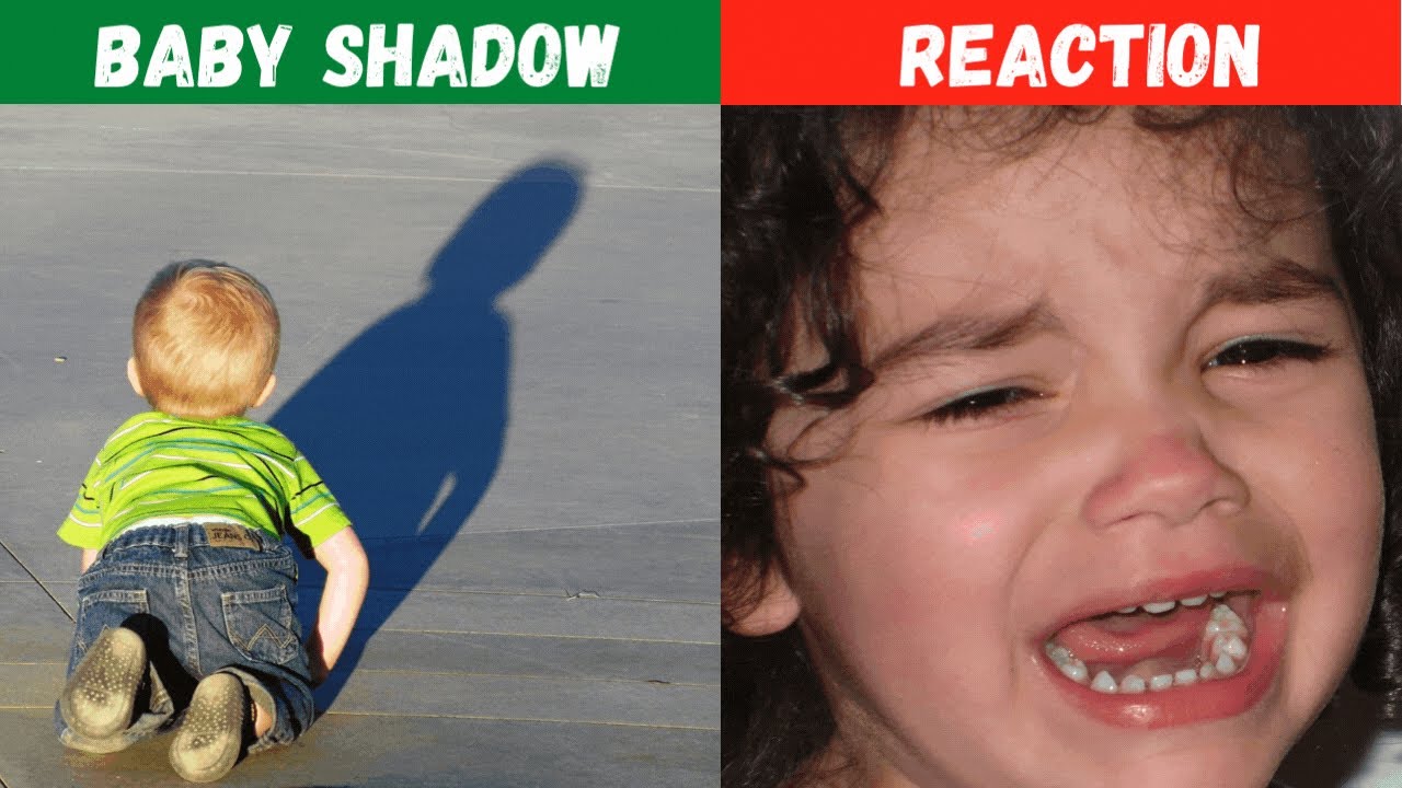 Babies Scared of Their Shadow Compilation Videos