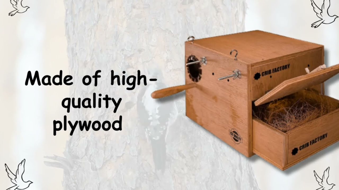 Crib factory Perfect Breeding Box for cockatiel birds HIGH-QULITY PLYWOOD 12X10X10 INCH ITH ONE TRAY