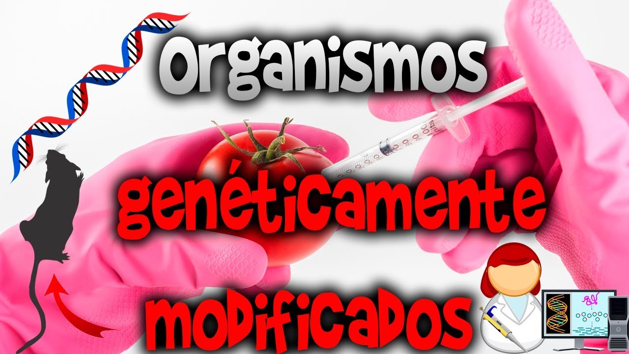 ORGANISMOS GENÉTICAMENTE MODIFICADOS