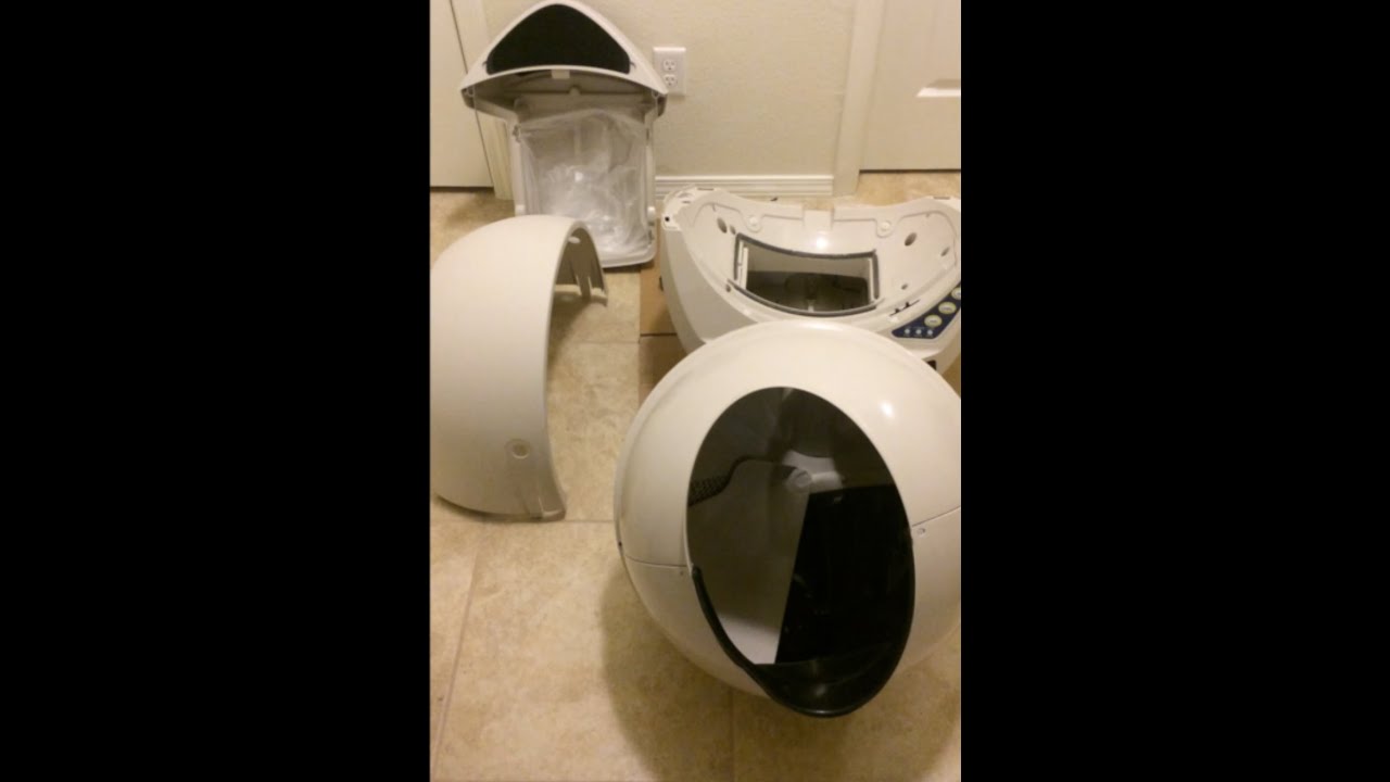 Litter Robot Open Air Cleanup and Maintenance