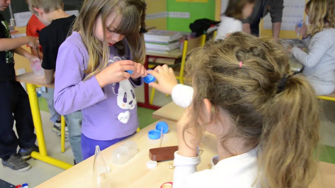 Culture scientifique et éducation à l'environnement dans les TAP - Episode 2