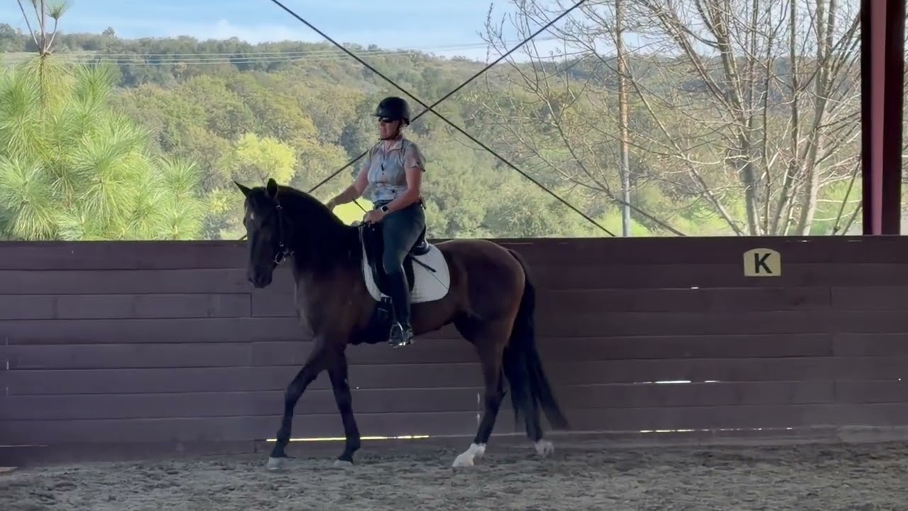 Pippa Callanan clinic day 3 trot work shoulder in best at last 40 seconds of ride