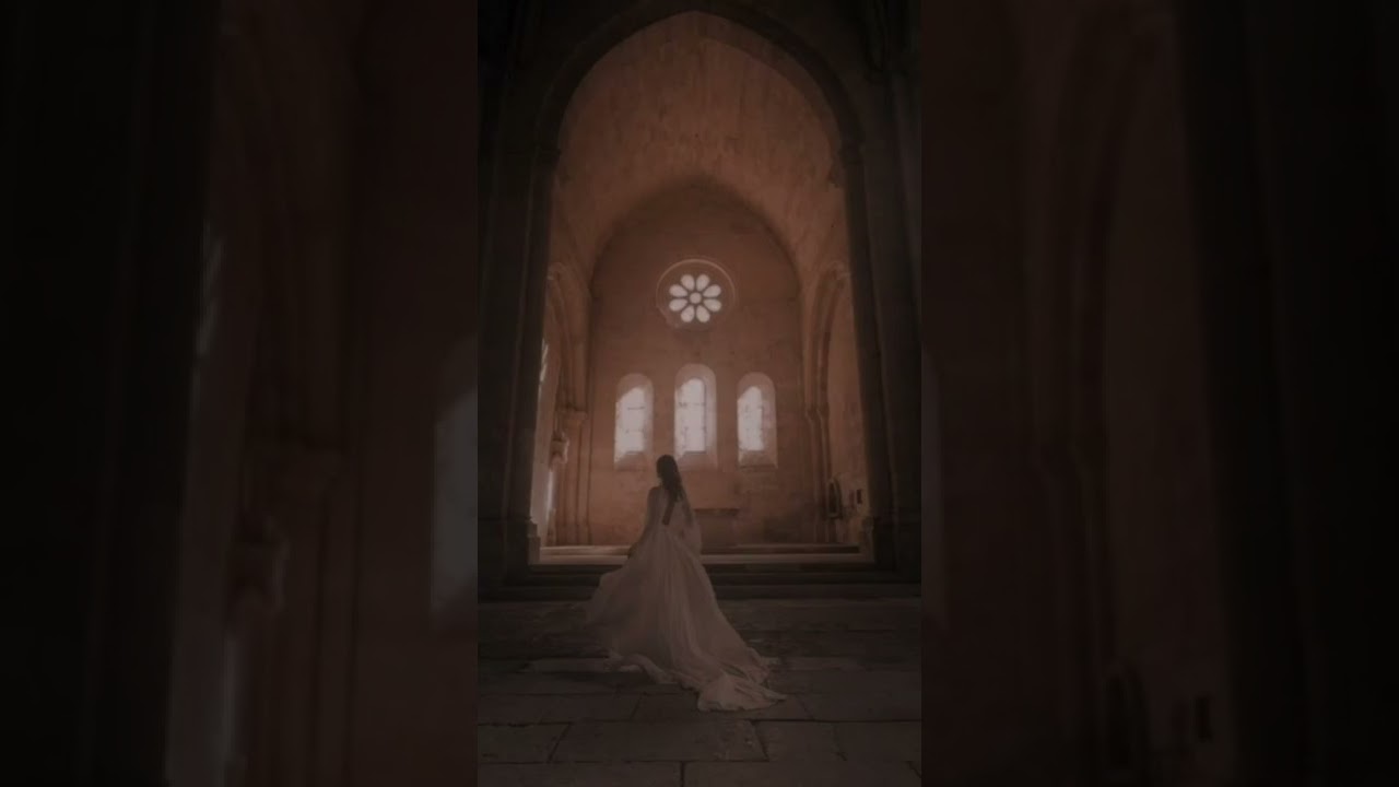 Ludovico Einaudi ~ a dark academia playlist