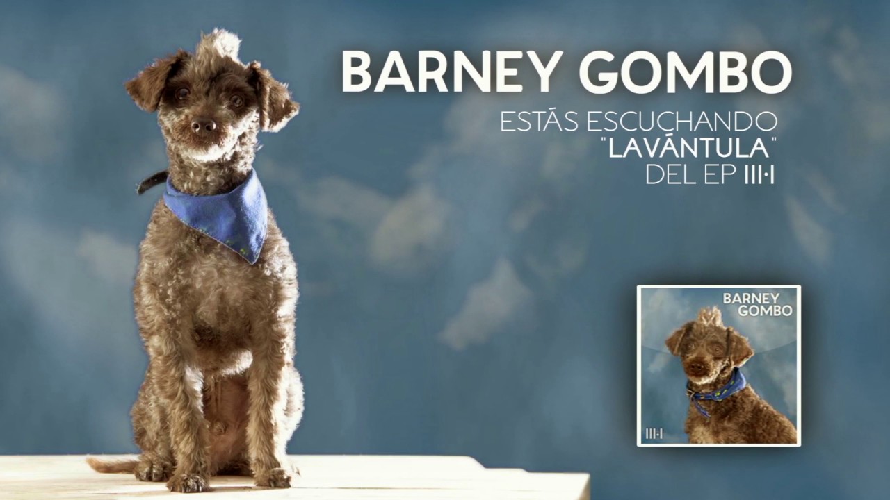 Barney Gombo - Lav&aacute;ntula