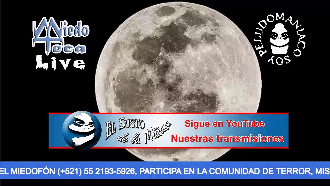 Peludomaniacos | SOY PELUDOMANIACO | DIRECTO | 26 DICIEMBRE