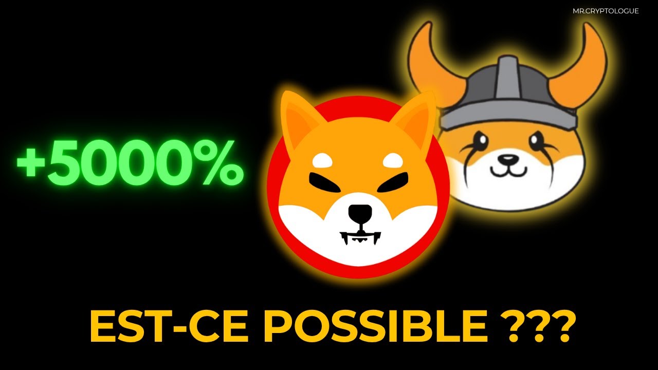 VOICI COMBIEN TU AURAIS SI SHIBA INU ET FLOKI ATTEIGNENT LEUR ATH !
